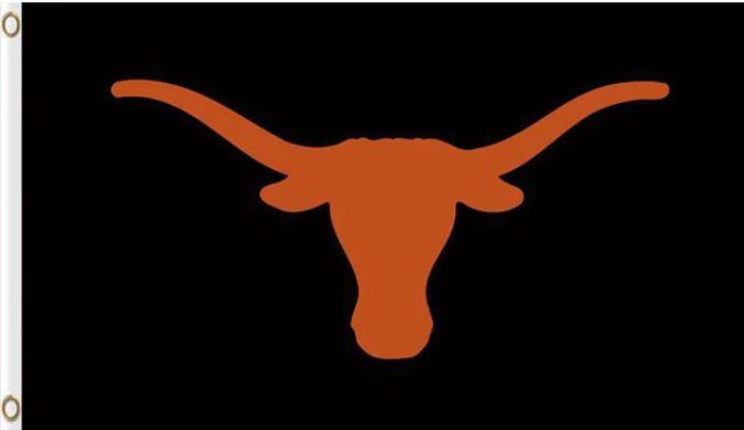 Texas Longhorns Hand Flag 3x5ft