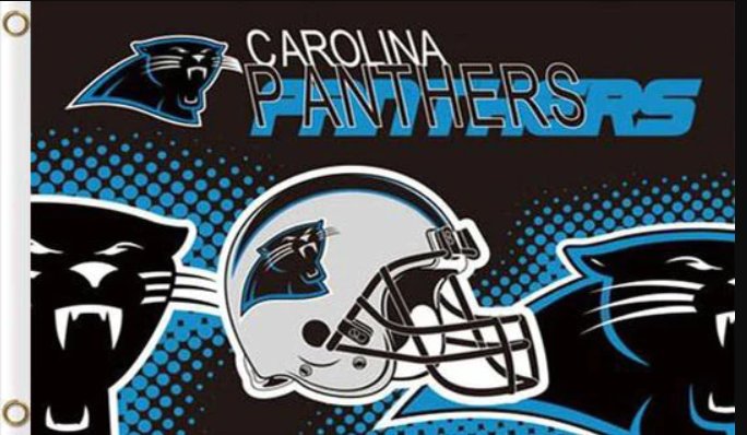 Carolina Panthers Team Logo Flag 3x5ft-8