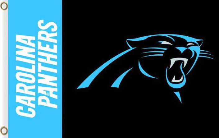 Carolina Panthers Team Logo Flag 3x5ft-7