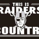 Las Vegas Raiders Sport Club Flag 3x5ft-9