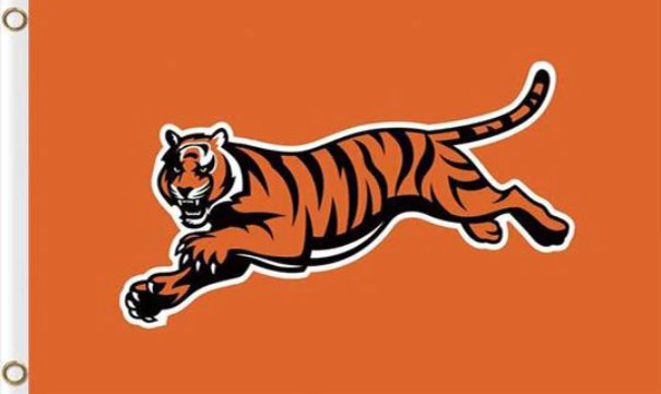 Cincinnati Bengals Flag 3x5ft-13