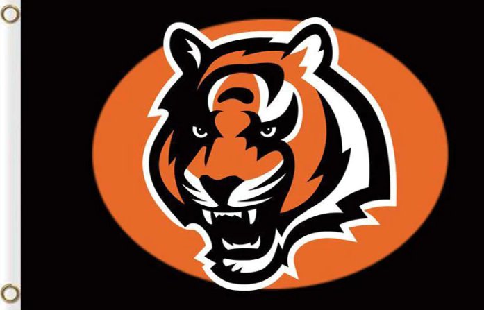 Cincinnati Bengals Flag 3x5ft-12