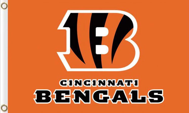 Cincinnati Bengals Flag 3x5ft-11