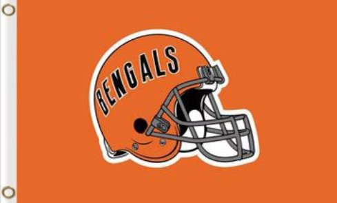 Cincinnati Bengals Flag 3x5ft-10
