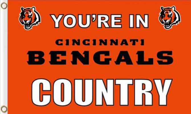 Cincinnati Bengals Flag 3x5ft-8