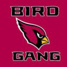 Arizona Cardinals Team Banner Flag 3x5ft-2