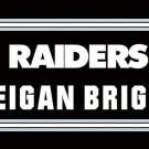 Las Vegas Raiders Club Logo Sports Flag 3x5ft-8