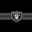 Las Vegas Raiders Club Logo Sports Flag 3x5ft-6