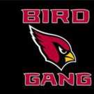 Arizona Cardinals Sports Team Flag 3x5ft-5