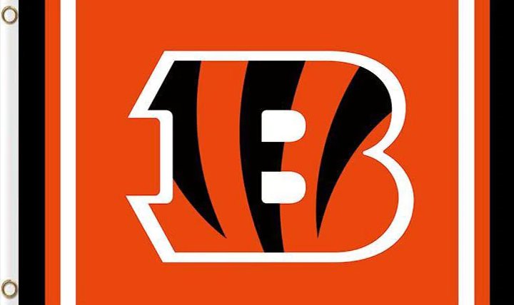 Cincinnati Bengals Logo Two Strip Flag 3x5ft-2