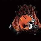 Cleveland Browns Flag 3x5ft-6