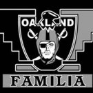 Las Vegas Raiders Sports Team Flag 3x5ft-6