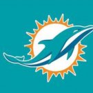 Miami Dolphins Team Logo Sports Flag 3x5ft-2