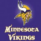 Minnesota Vikings Team Logo Sports Flag 3x5ft-3