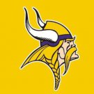 Minnesota Vikings Team Logo Sports Flag 3x5ft-1