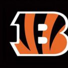 Cincinnati Bengals Flag 3x5ft-6
