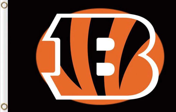 Cincinnati Bengals Flag 3x5ft-5