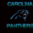 Carolina Panthers Team Flag 3x5ft-5