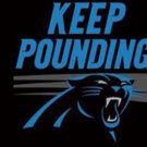 Carolina Panthers Team Flag 3x5ft-1