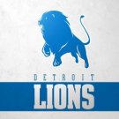 Detroit Lions Team Logo Flag 3x5ft-1