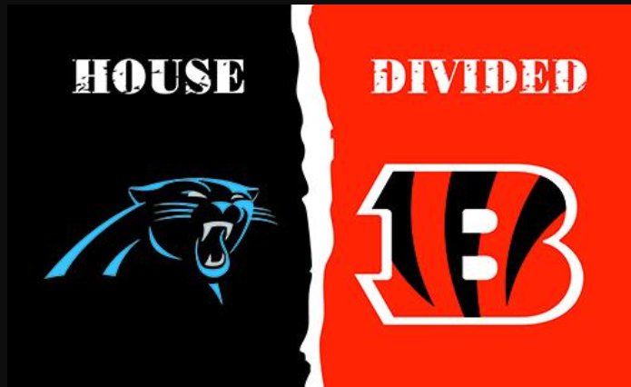 Carolina Panthers and Cincinnati Bengals Divided Flag 3x5ft