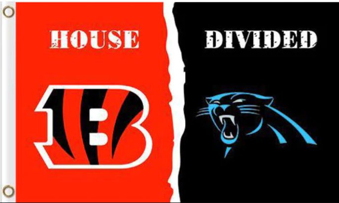 Cincinnati Bengals and Carolina Panthers Divided Flag 3x5ft