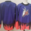 Arizona Coyotes Blank Ice Hockey Jerseys-3
