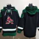 Arizona Coyotes Blank Hoodies-3