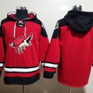 Arizona Coyotes Blank Hoodies-2