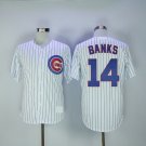 Chicago Cubs 14 Ernie Banks Baseball Jerseys-1