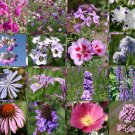 WILDFLOWER MIX PURPLE - 1 Oz Bulk Seeds WILDFLOWER MIX PURPLE - 1 Oz Bulk Seeds