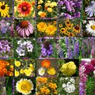 WILDFLOWER MIX CASCADE PERENNIAL - 1 Oz Bulk Seeds WILDFLOWER MIX CASCADE PERENNIAL - 1 Oz Bulk Seeds