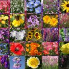 WILDFLOWER MIX EARLY BIRD - 1 Oz Bulk Seeds WILDFLOWER MIX EARLY BIRD - 1 Oz Bulk Seeds