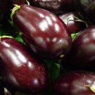EGGPLANT BLACK BEAUTY Solanum Melongena - 40 Bulk Seeds EGGPLANT BLACK BEAUTY Solanum Melongena - 40 Bulk Seeds