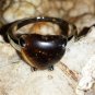 Tiger's Eye Ring (Not a doll) Mental Health, Depression Relief