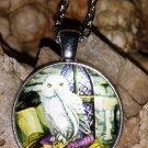Owl Necklace/Pendant Wisdom, Healing & Protection (not vampire) c-127