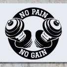 Gym No Pain No Gain Weights Fitness Exercise Wall Art Decal Sticker Picture Lrg