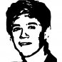 Niall Horan One Direction 1D Children's Bedroom Decal Wall Art Sticker Picture