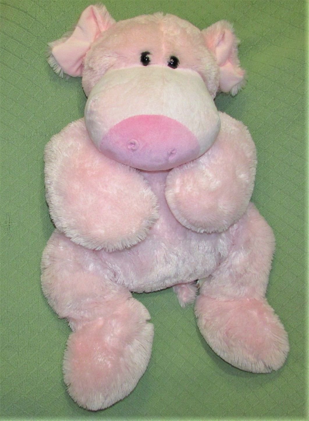 pig cuddly toy