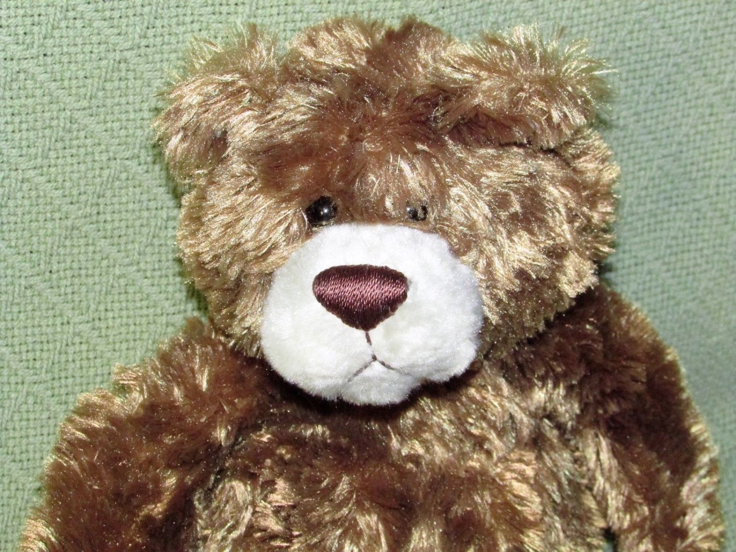 blue magic teddy bear casey