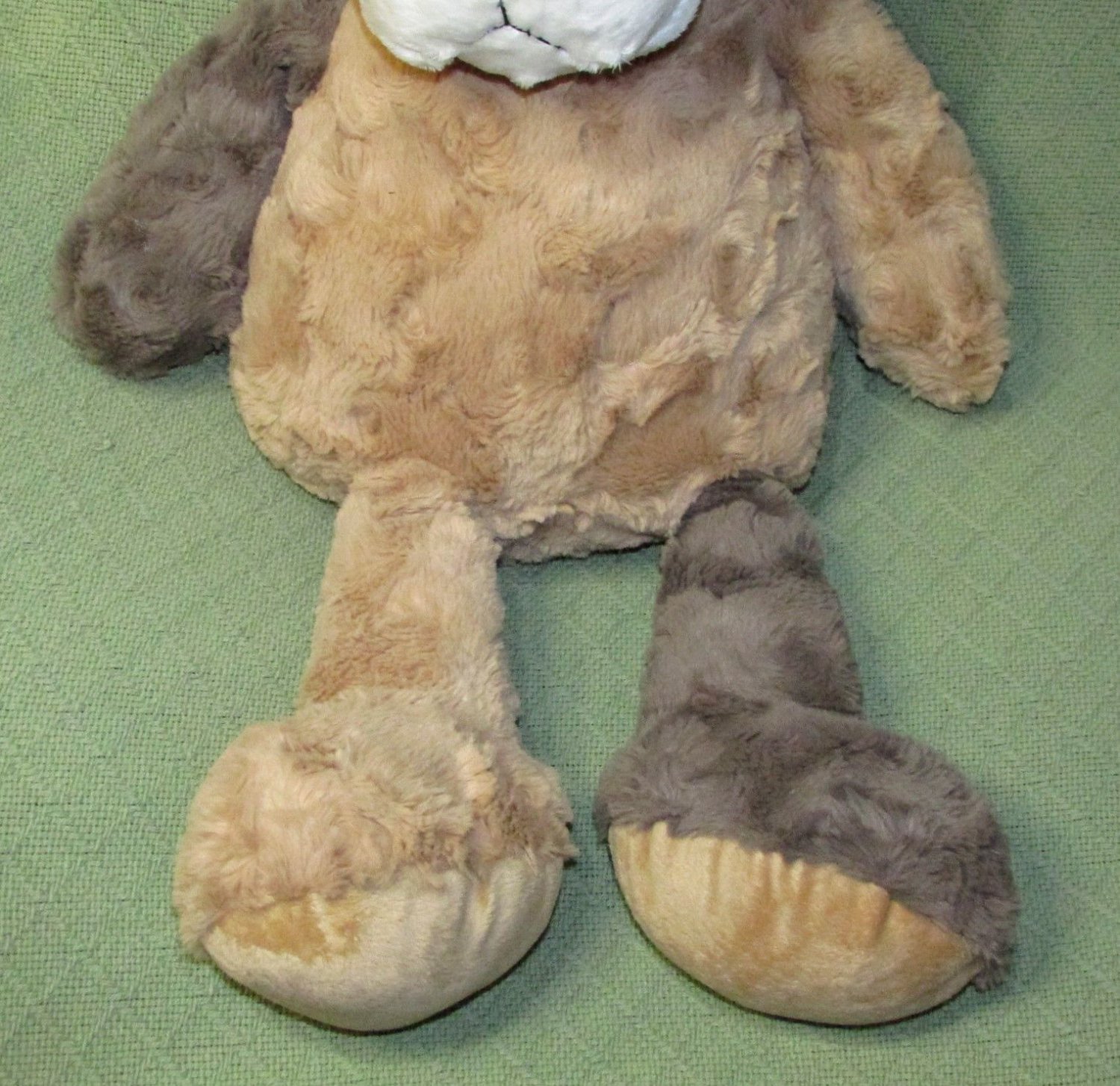 floppy dog plush