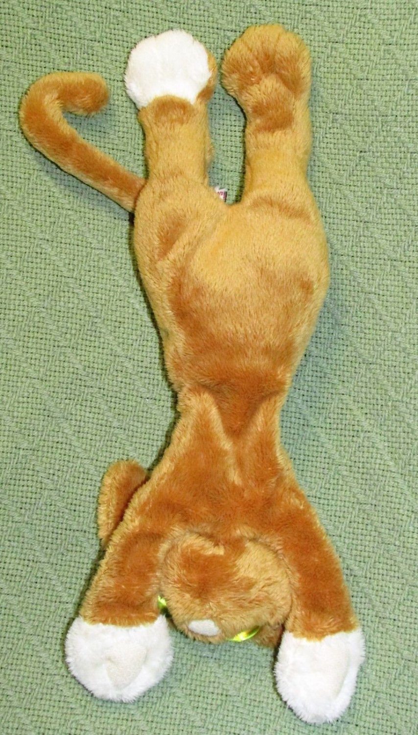 lanky cats plush