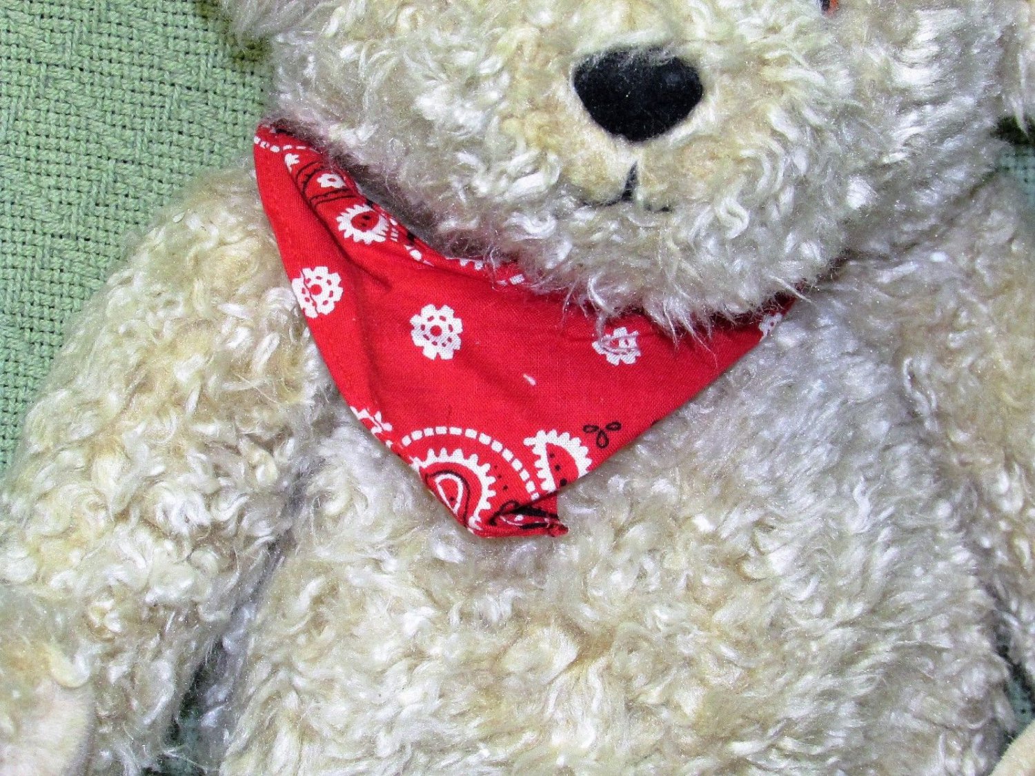 plush pals teddy bear