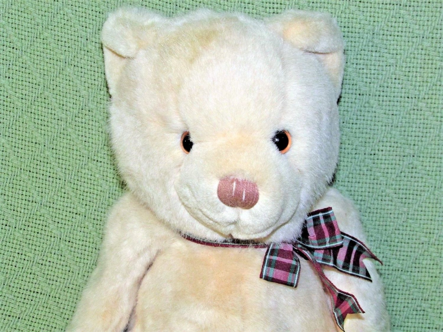 eden teddy bear