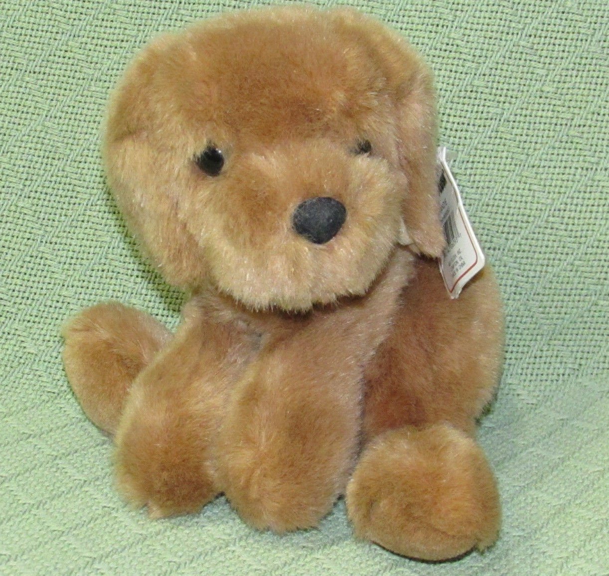 dog ate stuffed animal ear
