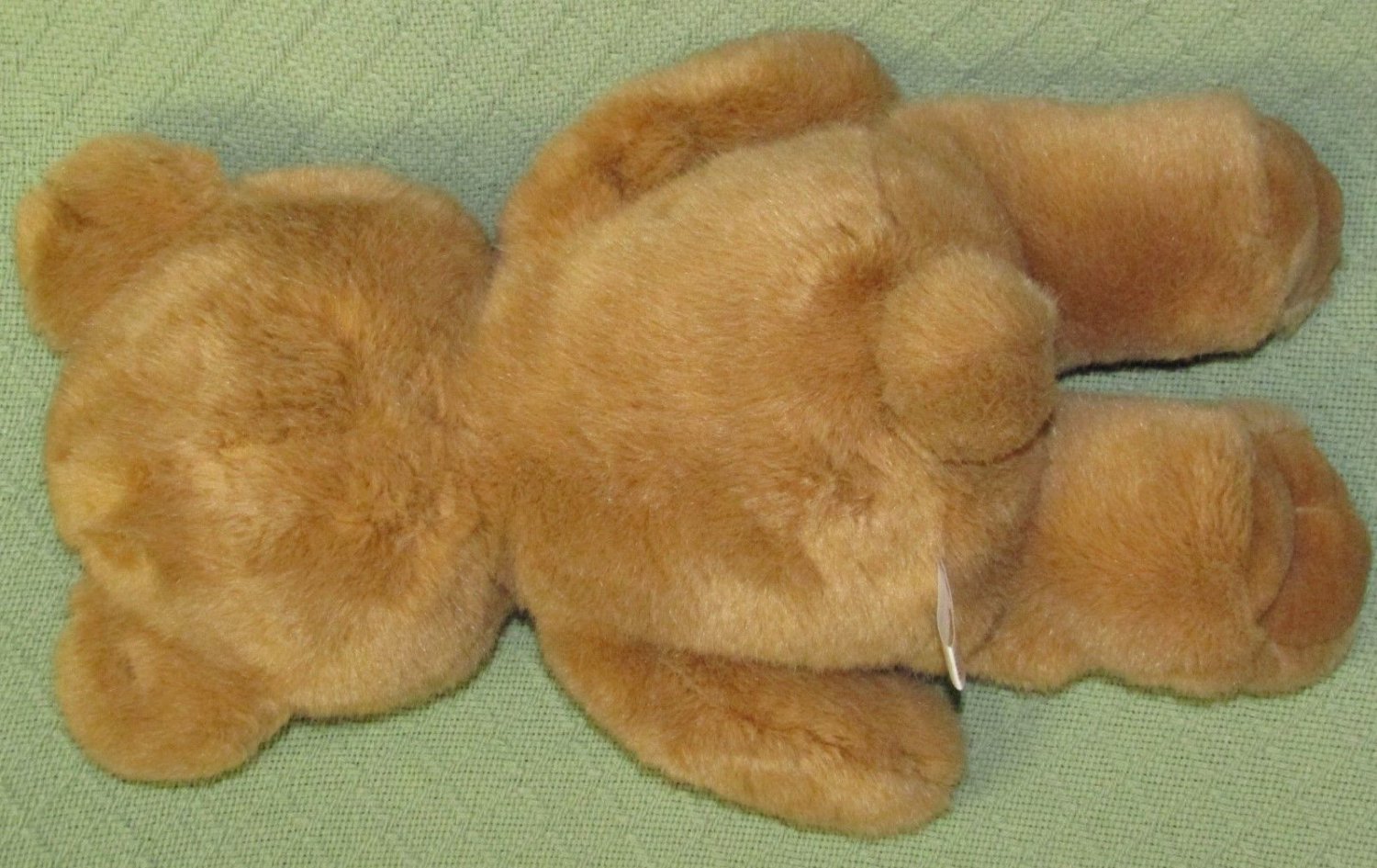 tan stuffed bear