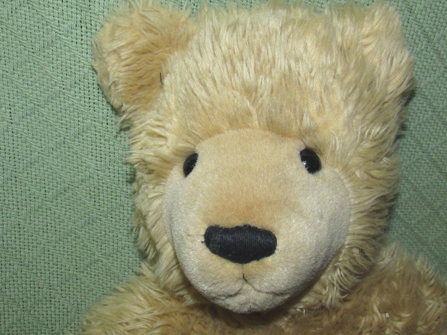 the westcliff collection bear