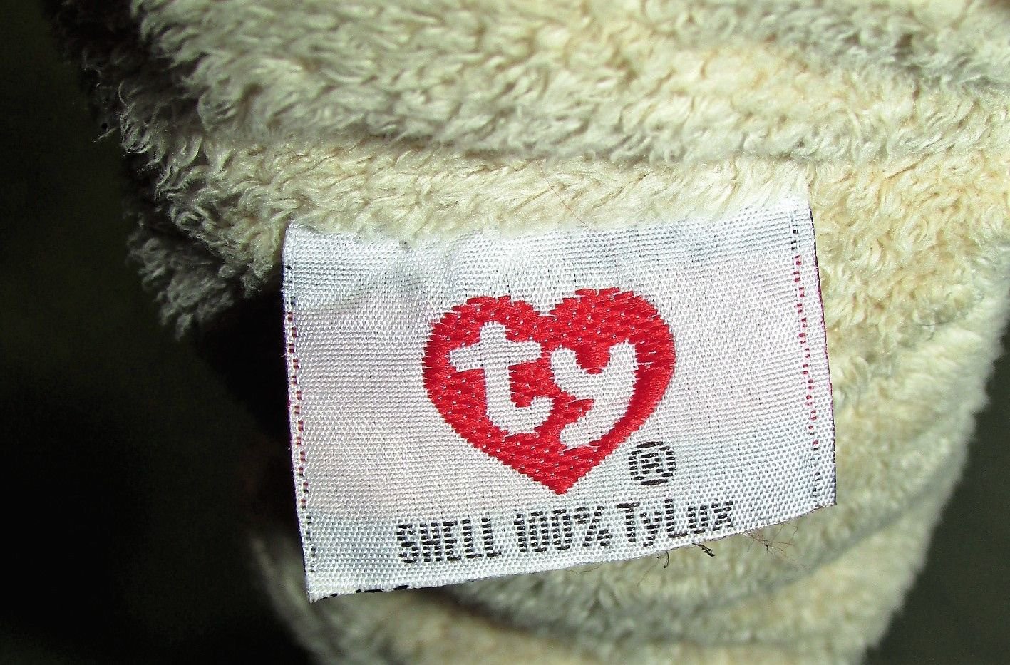 teddy bear stitched eyes