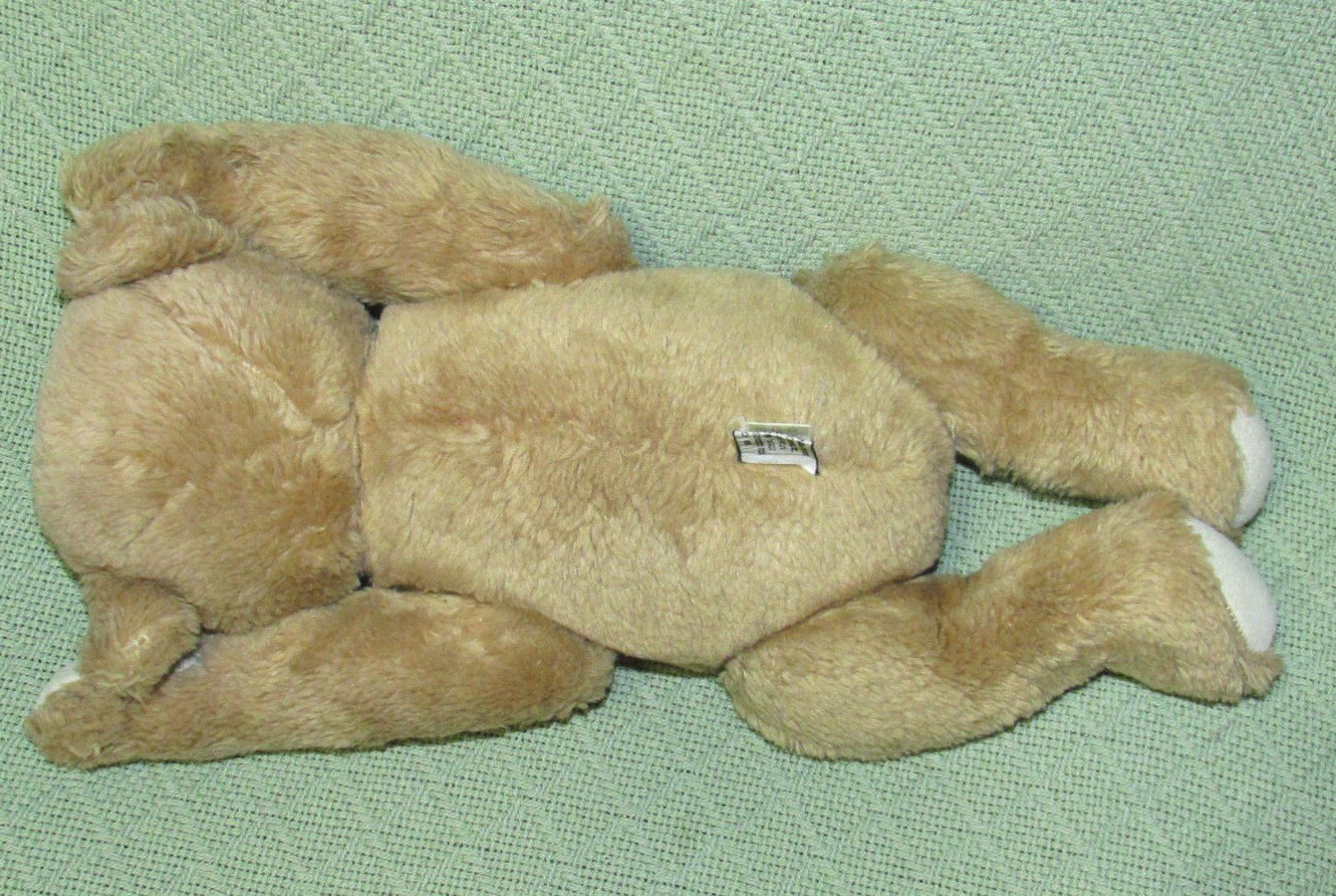 smithsonian teddy bear