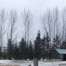 Ultimate Sportsman's Paradise, Must see, 80 acres NW MN.